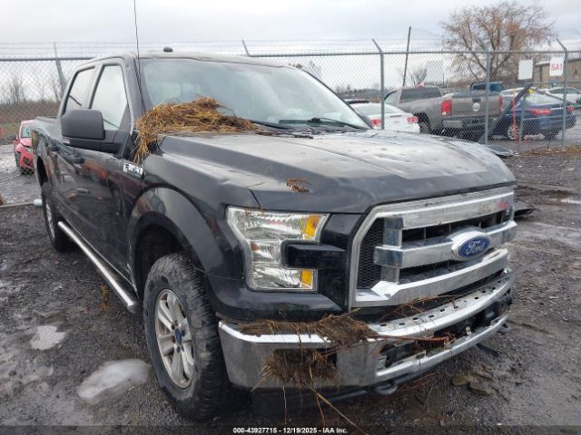 Ford F-150 Xlt Image 1